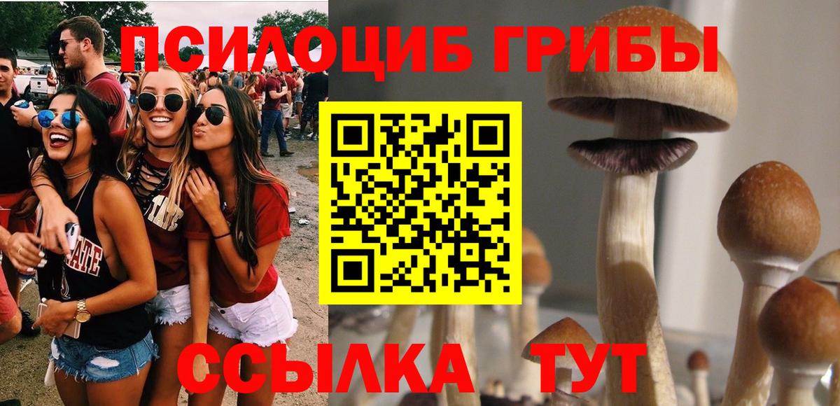 Псилоцибиновые грибы мухоморы  Вход с VPN  Ликино-Дулёво  Галлюциногенные грибы GOLDEN TEACHER 
