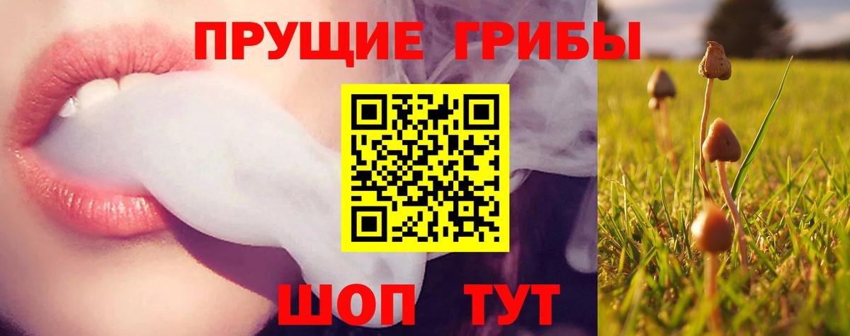 Псилоцибиновые грибы ЛСД Ликино-Дулёво